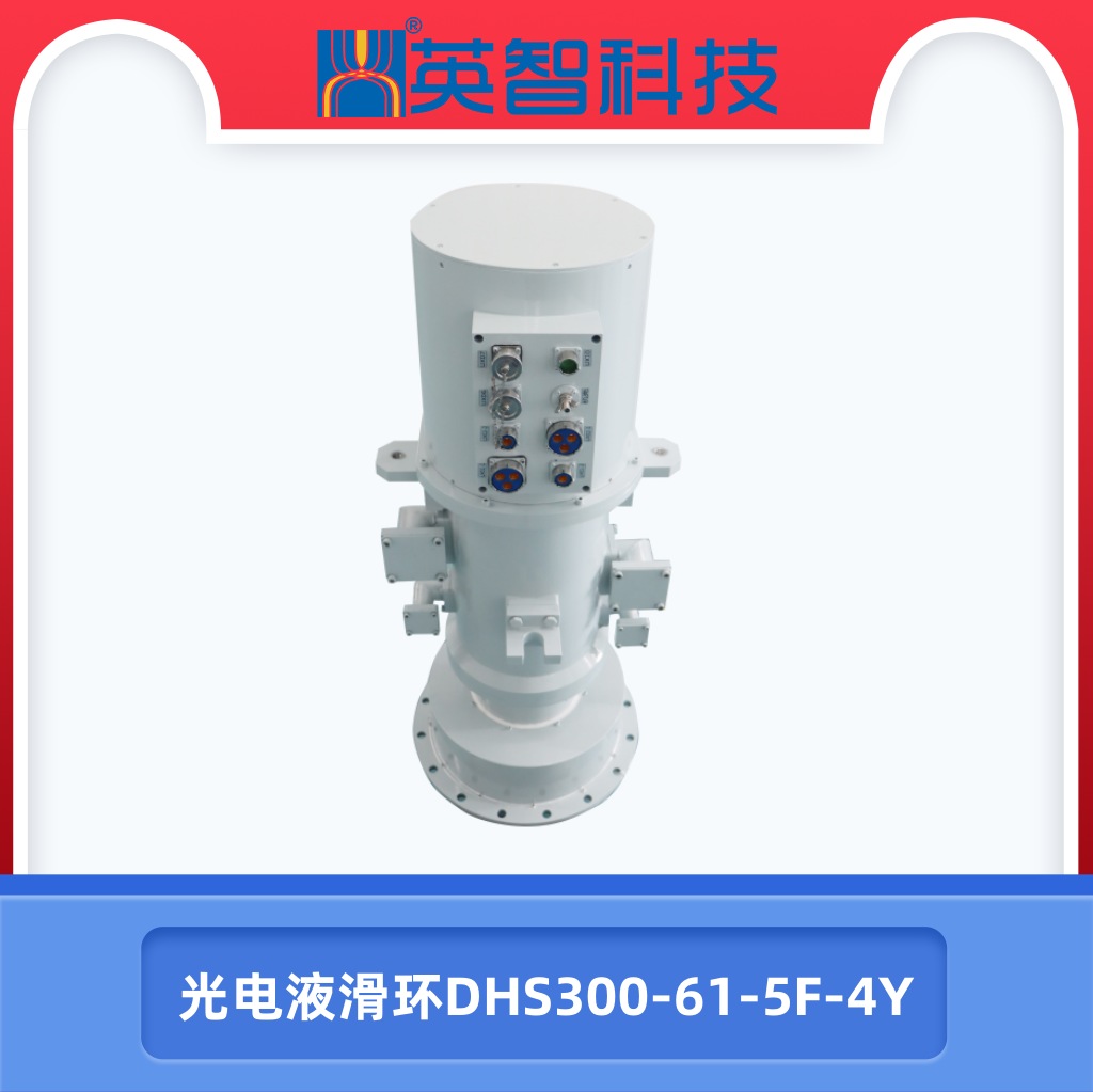 光电液色草莓视频在线观看DHS300-61-5F-4Y